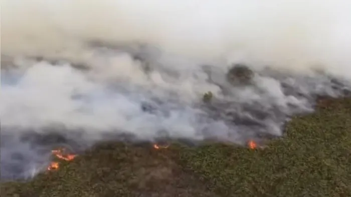 Karhutla di Kalimantan Tengah