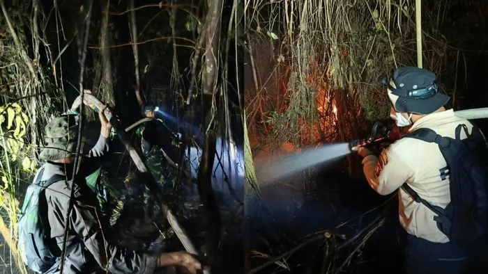 Perjuangan memadamkan karhutla di kawasan Taman Nasional Tanjung Puting (TNTP)