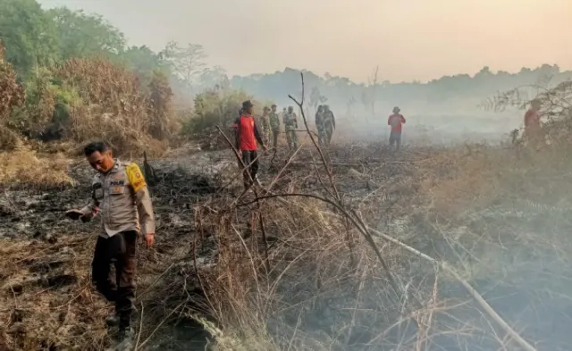 Sanggau-Sekadau Disorot! Izin PT Wana Lestari Jaya Dicabut, WALHI Tagih 144 PBPH Lain