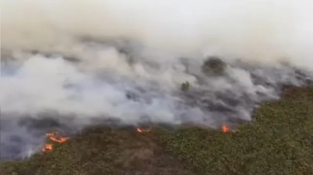 Kebakaran Hutan Indonesia Meluas hingga Negara Tetangga, ASEAN Aktifkan Alert Level 3