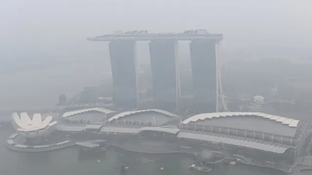 Singapura Tawarkan Bantuan untuk Indonesia, Siap Perkuat Kerja Sama Tangani Karhutla