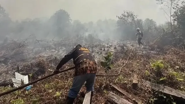Kabut Asap dan Titik Api Belum Mereda, Pemkab Kotim Resmi Perpanjang Masa Darurat Karhutla