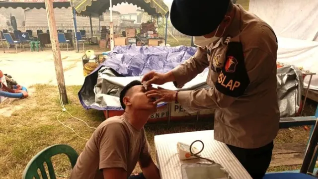 Gempuran Asap Karhutla di TNTP: Petugas Lapangan Mulai Sesak Napas dan Tumbang
