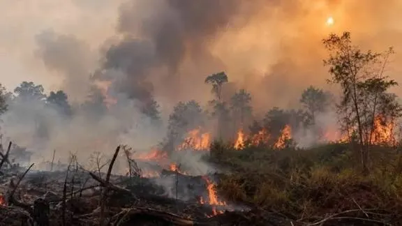 Di Tengah Asap Karhutla, Relawan Kalimantan Gugur Saat Berjuang Menyelamatkan Sesama